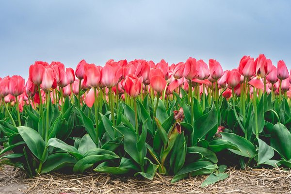 Traitement de l'humidité falaise : transformer un défi en atout design