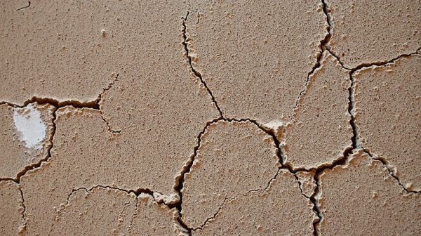 Top astuces pour détecter et restaurer les fissures murales
